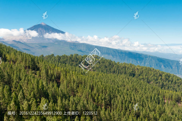 薩爾瓦多泰德火山；特內(nèi)里費(fèi)；西班牙