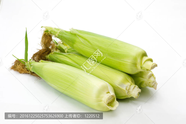白果殼上的甜玉米