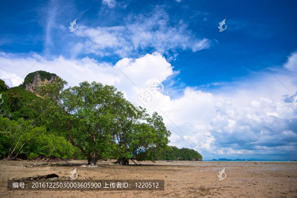 西萊利海灘