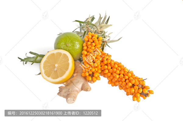 外引沙棘品種；檸檬和姜。