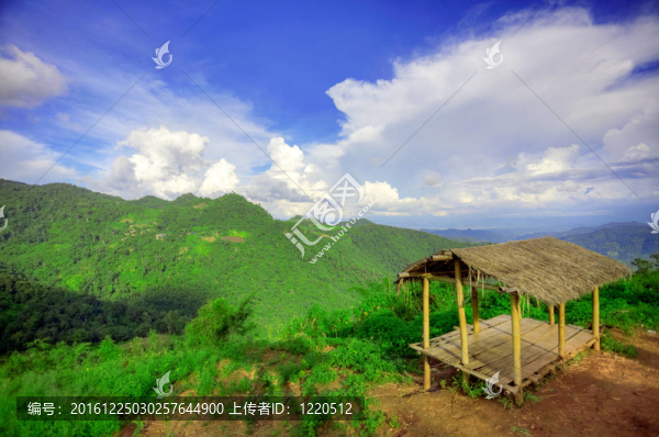 禪現(xiàn)場