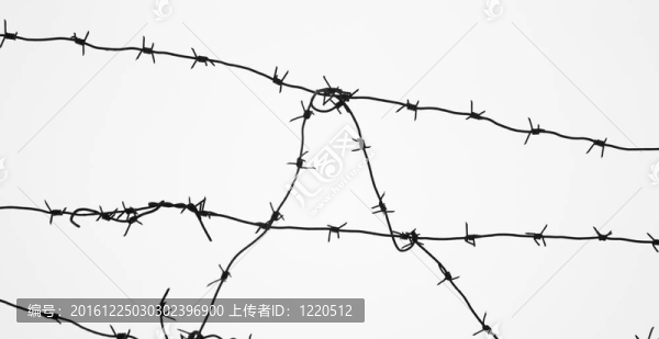 白色鐵絲網(wǎng)