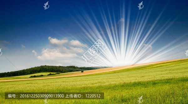 夏季景觀。