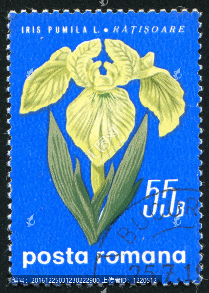 圖章藝術(shù)電子郵件虹膜