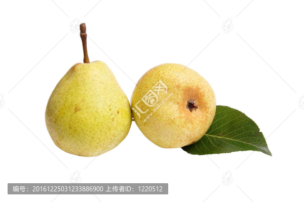 多汁的；成熟的梨。