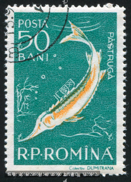 鱘魚