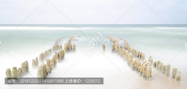 腹股溝的老