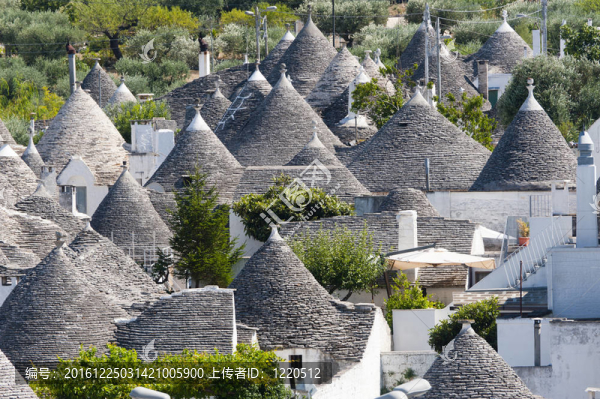 阿爾貝羅貝洛（Bari；普利亞；意大利）：在特魯利鎮(zhèn)全景