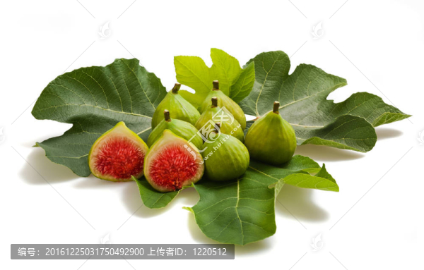 菲基