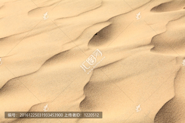沙波對歐洲最高的沙丘沙丘皮拉（試點）；阿卡雄灣；阿基坦大區(qū)；法國