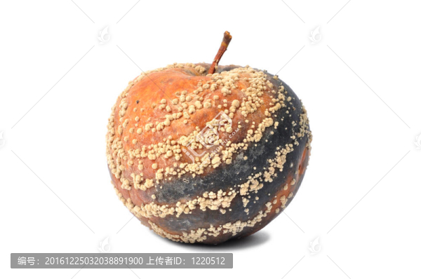 爛蘋果