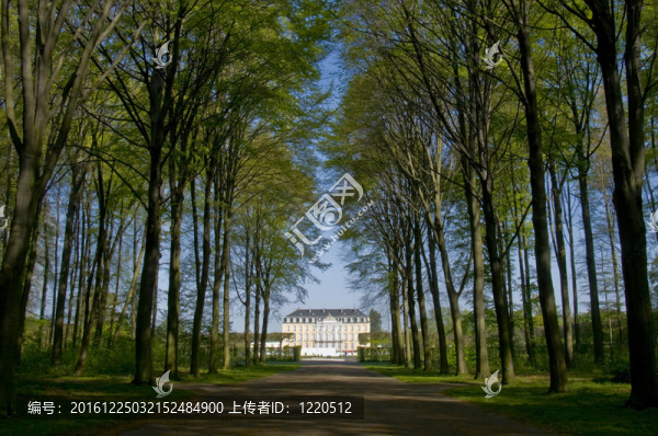 宮奧古斯