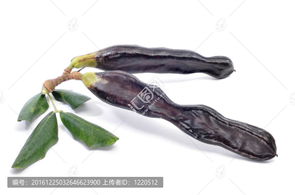 長(zhǎng)豆角