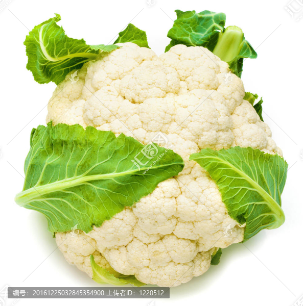 菜花