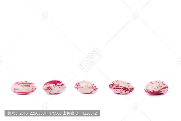 意大利豆