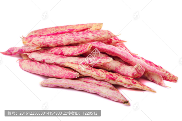 意大利豆
