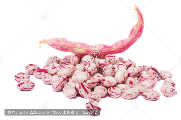 意大利豆