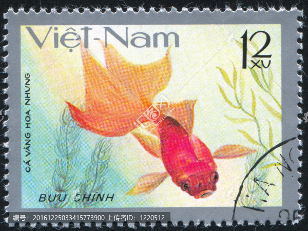 金魚(yú)