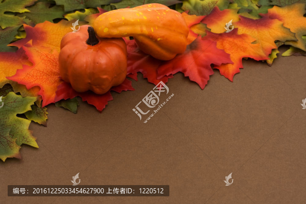 季節(jié)的變化