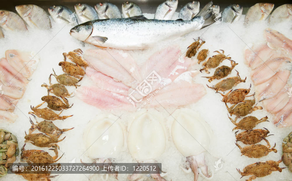 鮮冷凍海鮮
