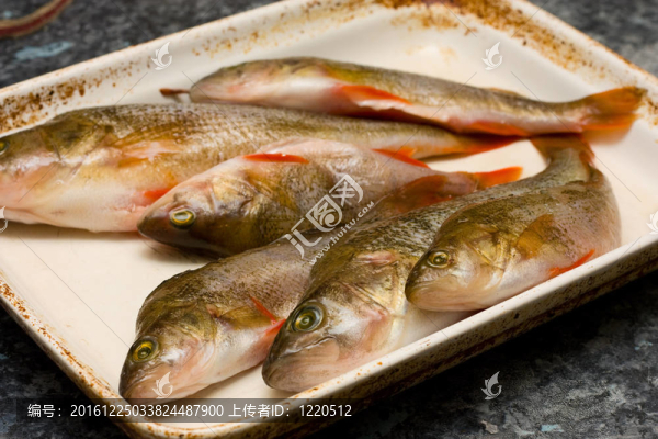 準備好的鱸魚。