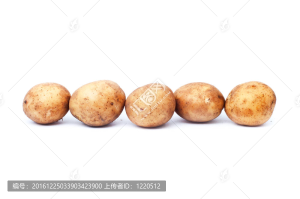 土豆