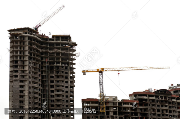 建筑外墻和鶴白