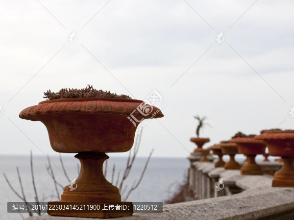 陽(yáng)臺(tái)上的花盆