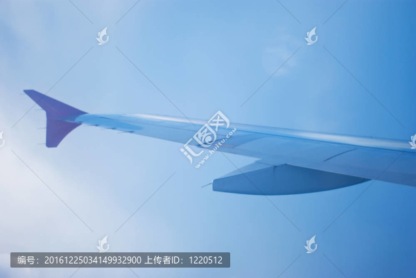 機(jī)翼運(yùn)動(dòng)飛機(jī)