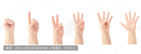 計算人的手（0至5）孤立在白色背景
