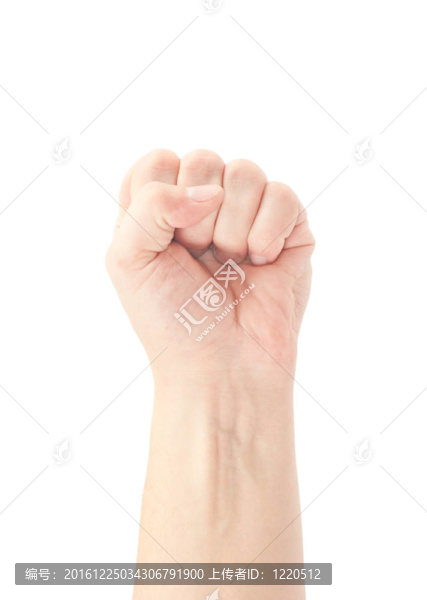 拳頭。手在白色背景上的手勢
