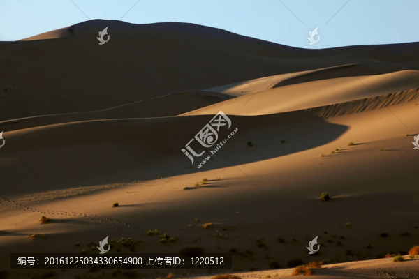 溫柔的早晨的影子