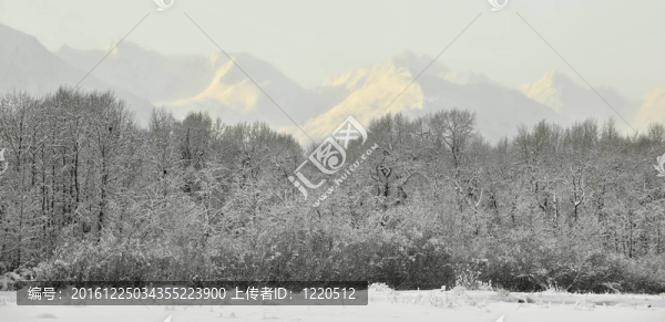 日落中的雪山