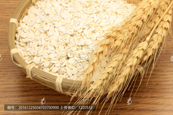 小麥穗粒