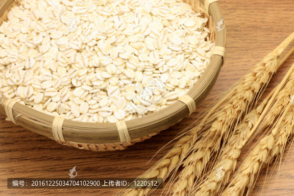 小麥穗粒