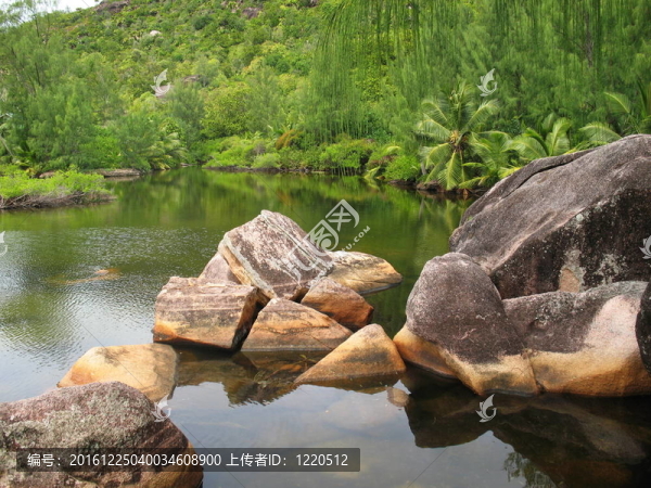 美麗的熱帶風(fēng)景