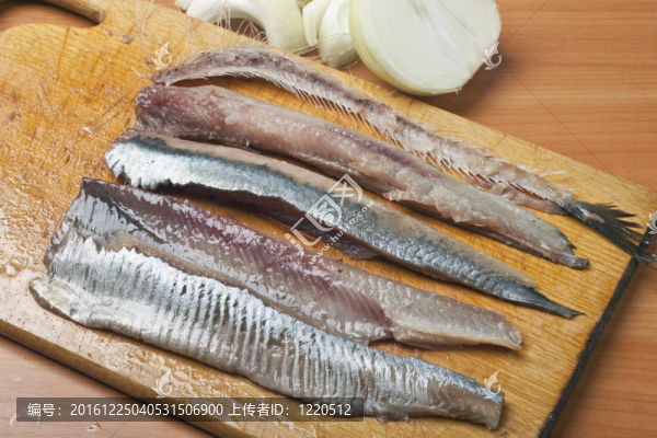 鯡魚