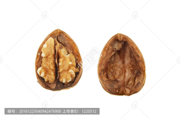 核桃的兩半