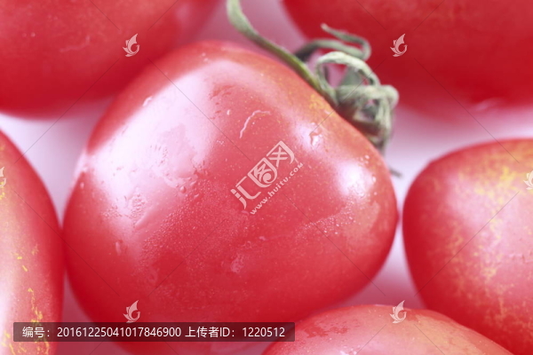 新鮮的西紅柿