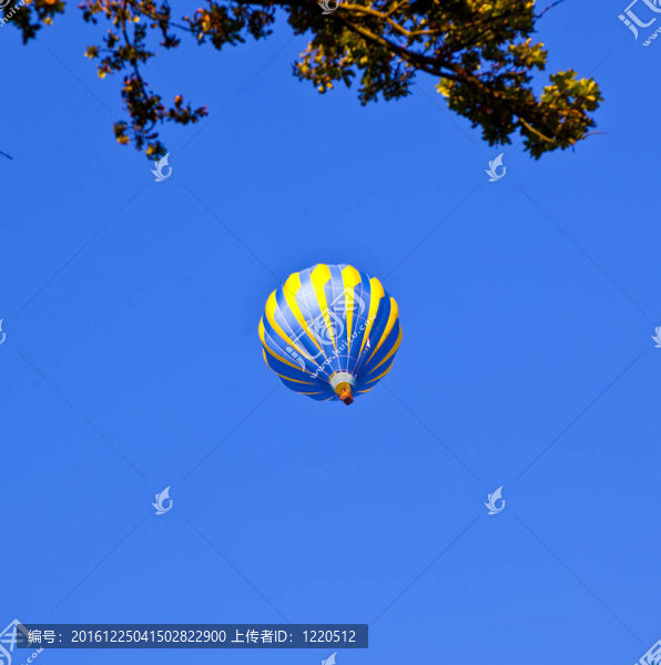 藍天上空的森林氣球
