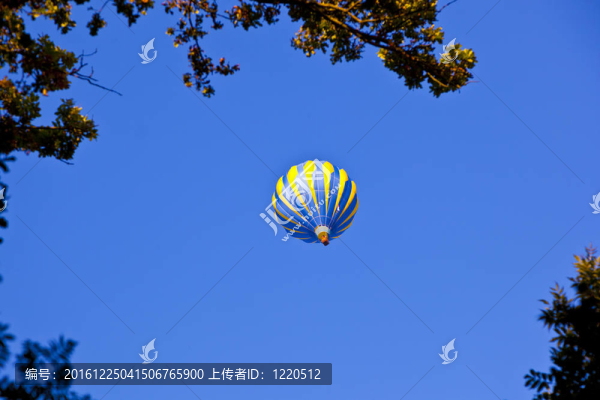 藍(lán)天上空的森林氣球