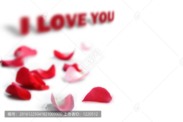 玫瑰花瓣與我愛你片語