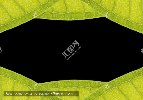 天然框架從葉片與空間文本黑色