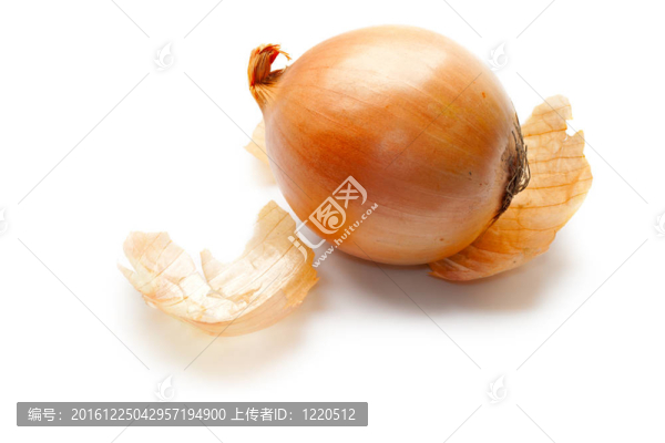白洋蔥