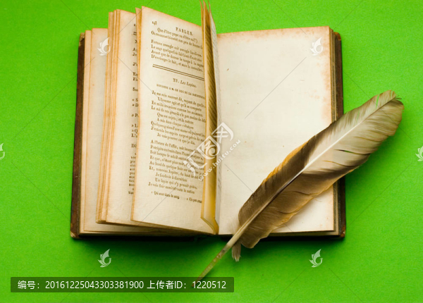 打開(kāi)的書(shū)與羽毛隔離綠色