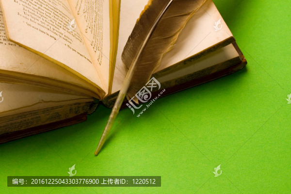 打開的書與羽毛隔離綠色