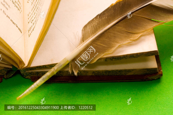 打開的書與羽毛隔離綠色