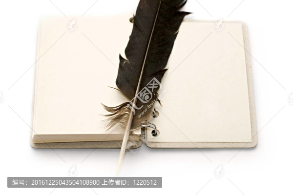 白色的記事本和羽毛