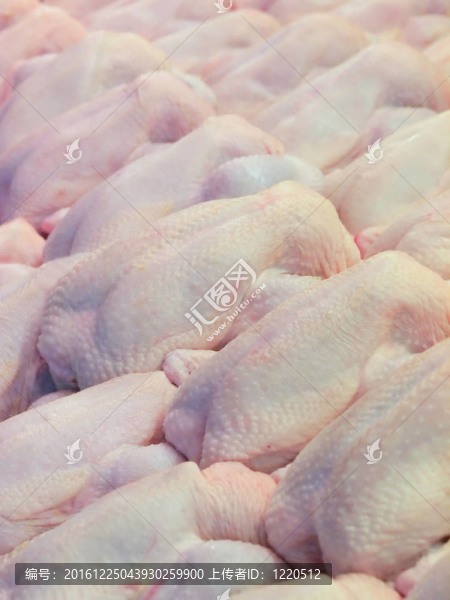 生鮮雞