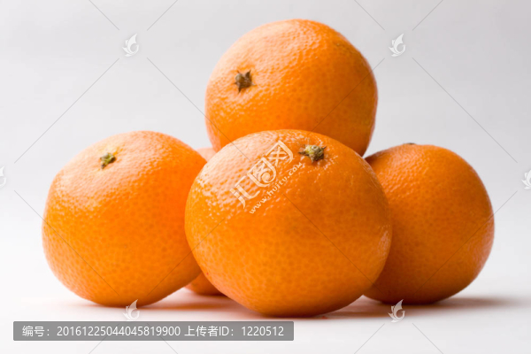 Tangerine夜店孤立的灰色